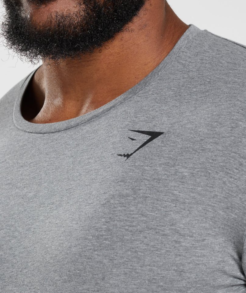 Koszulki Gymshark Essential Męskie Szare | PL 485SZE